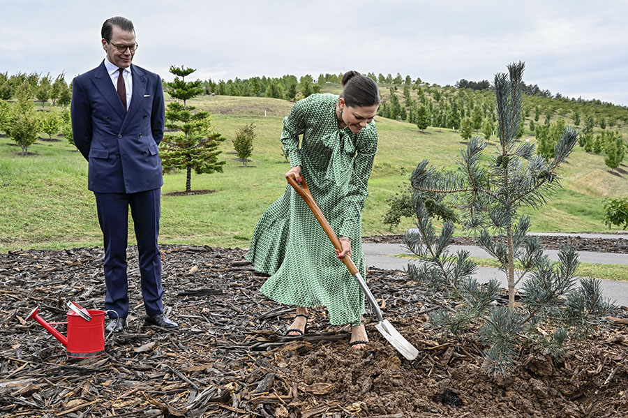 Victoria och Daniel har köpt nytt hem i Brasilien – bor i djungeln