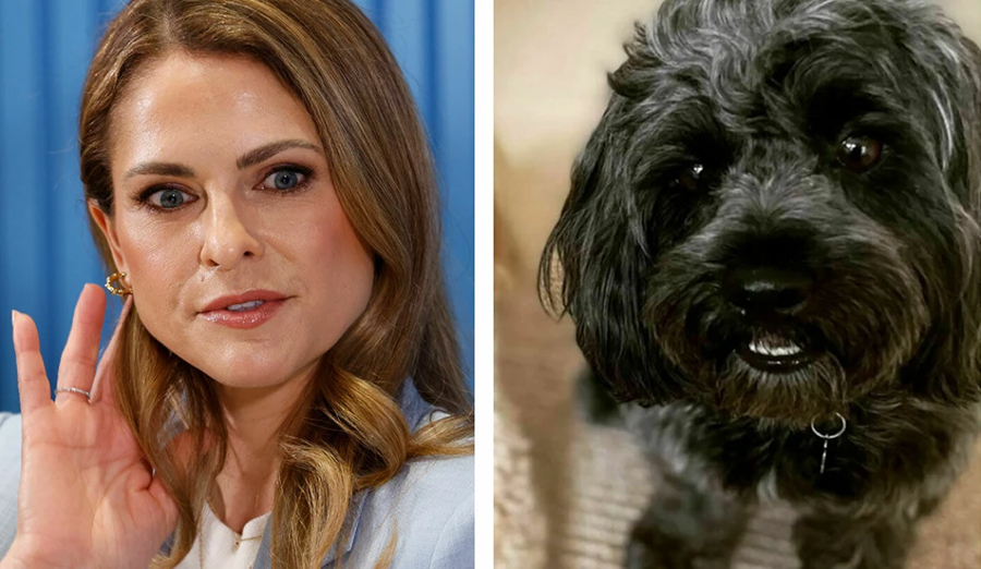 Madeleine skakas av hemskt dödsrykte – hovet tiger