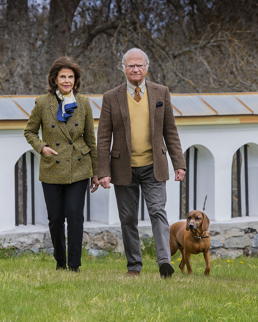 Skarpa kritiken mot kungen – nya hunden väcker ilska!