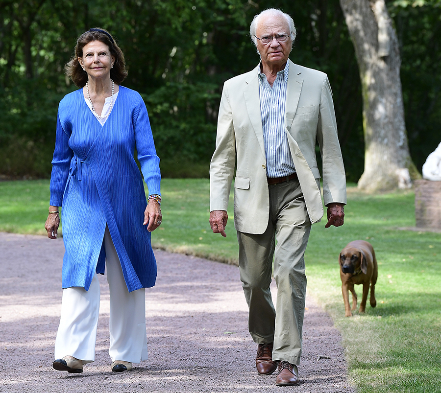 Skarpa kritiken mot kungen – nya hunden väcker ilska!