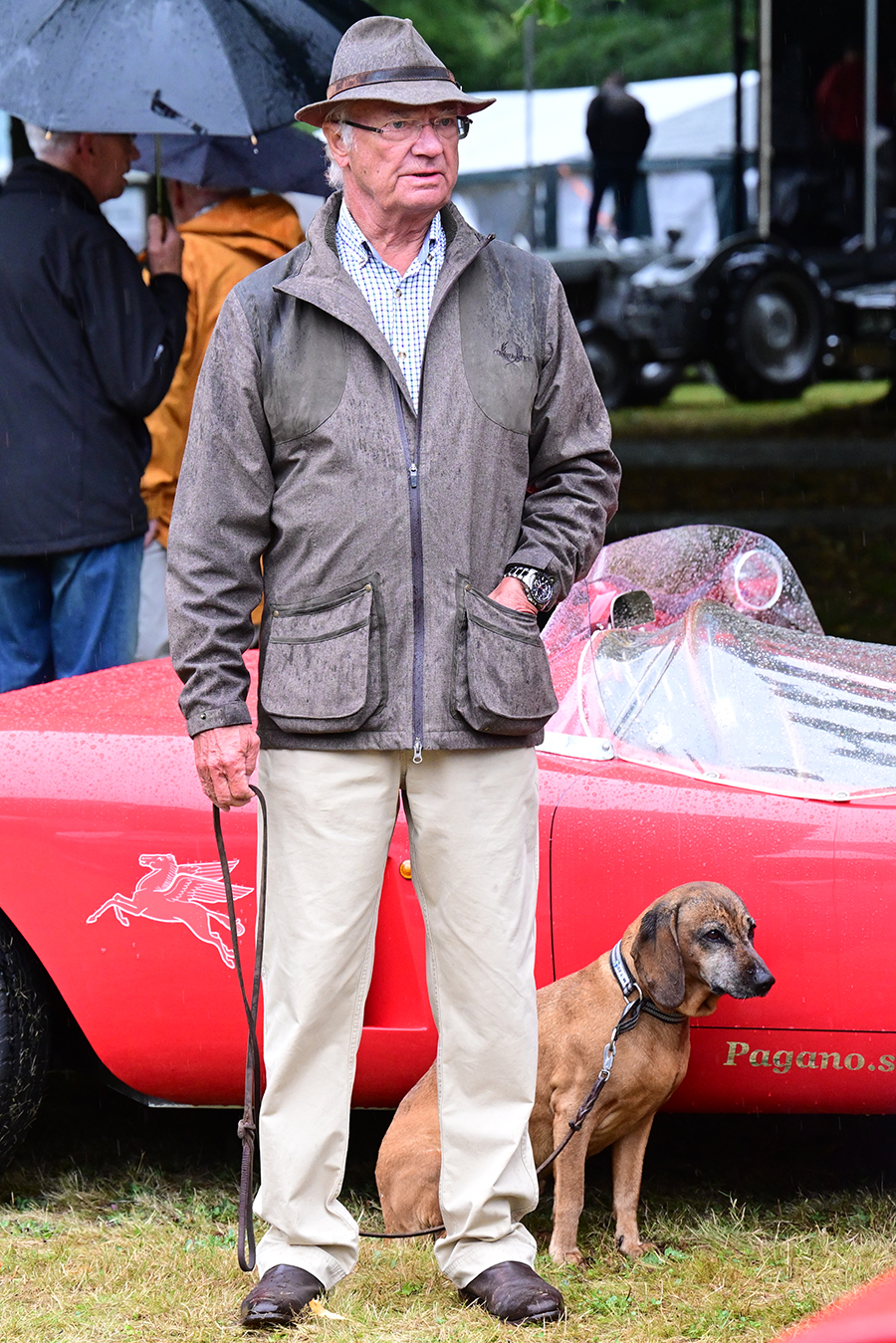 Skarpa kritiken mot kungen – nya hunden väcker ilska!