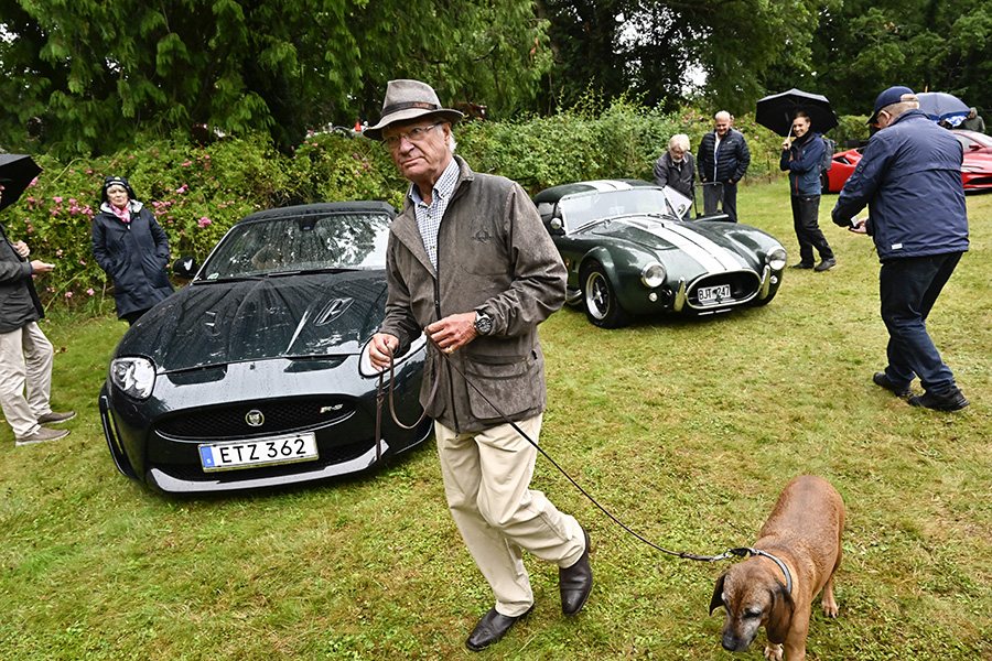 Skarpa kritiken mot kungen – nya hunden väcker ilska!