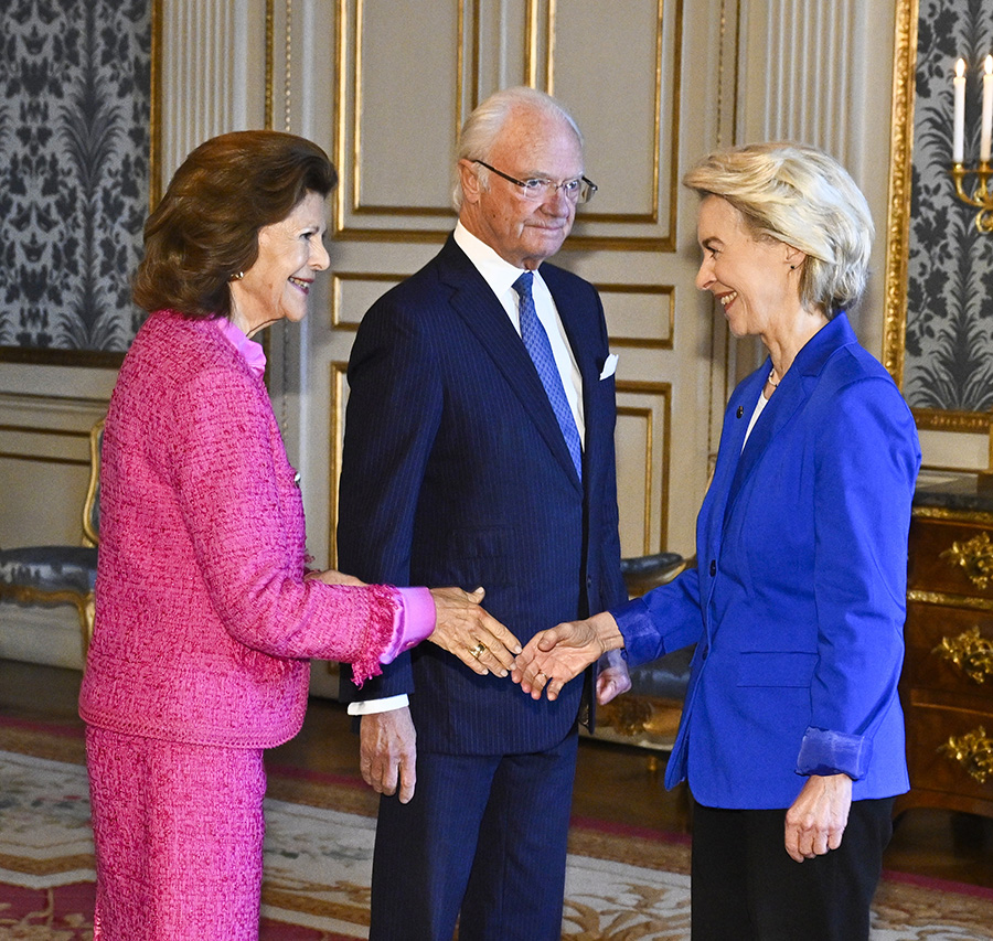 Drottning Silvias rosa succé – bländade gästerna på slottet