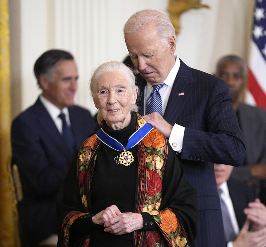 William och Kates chockbesked – hjärtskärande brevet