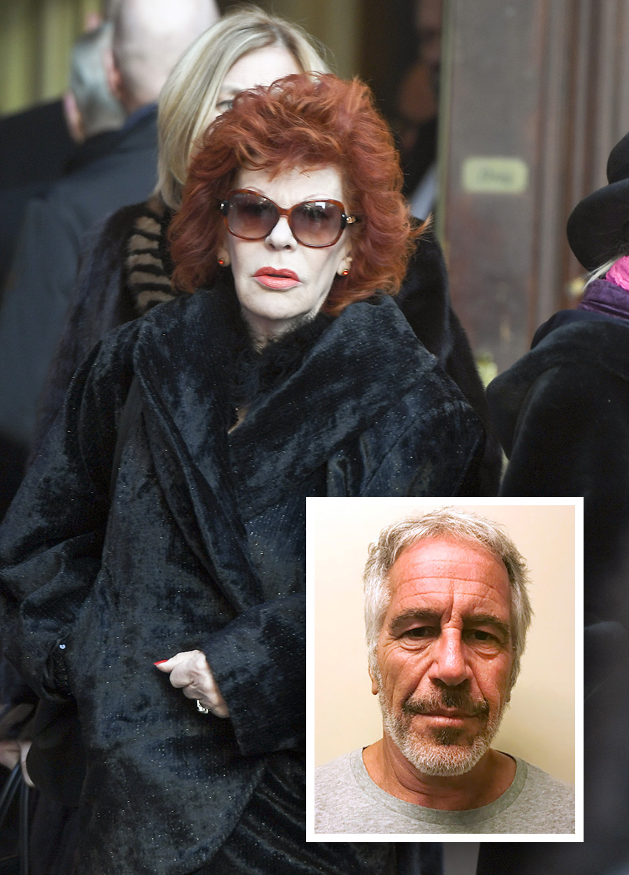 Chocken: Silvia välkomnade Epsteins vän på Childhoods fest