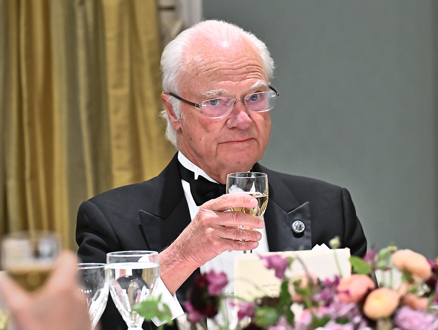 Drottning Silvias sammetslena succé – se magiska galabilderna!