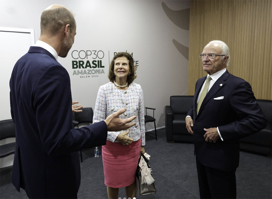 Silvias charmiga möte med William – kungliga toppmötet!