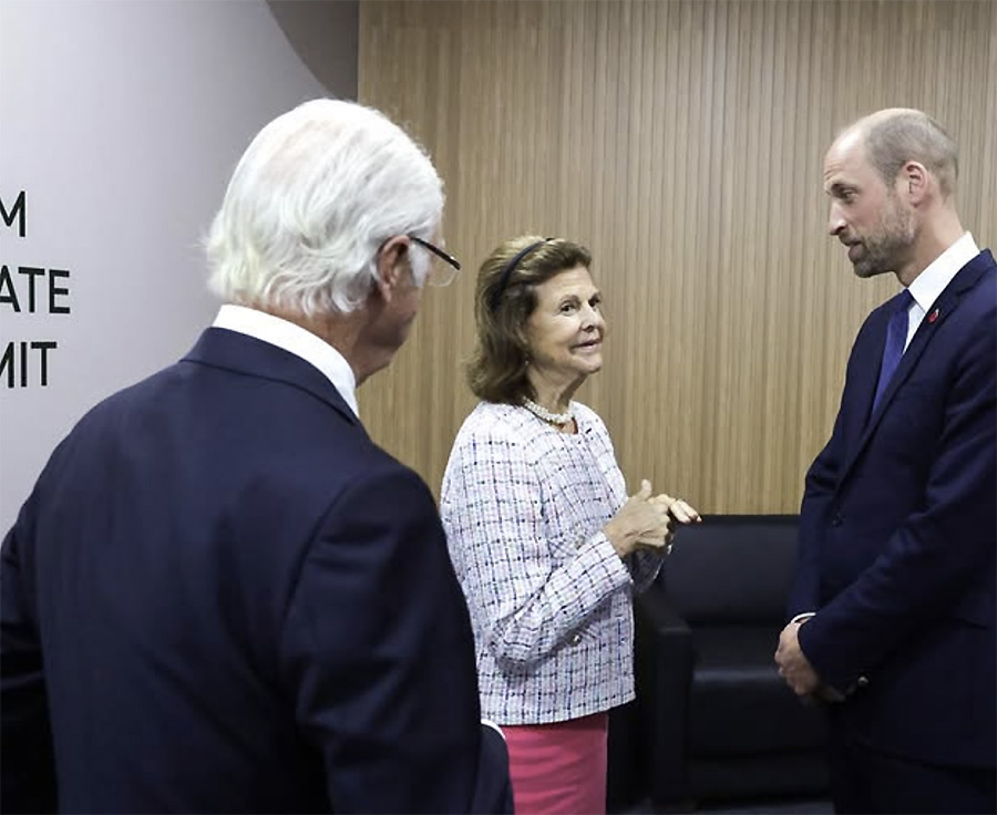 Silvias charmiga möte med William – kungliga toppmötet!