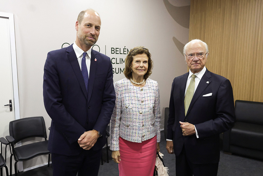 Silvias charmiga möte med William – kungliga toppmötet!