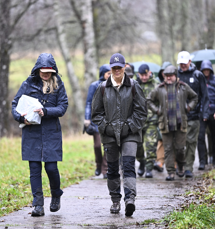 Victorias stilkupp i ösregnet – allt annat än dyngsur!