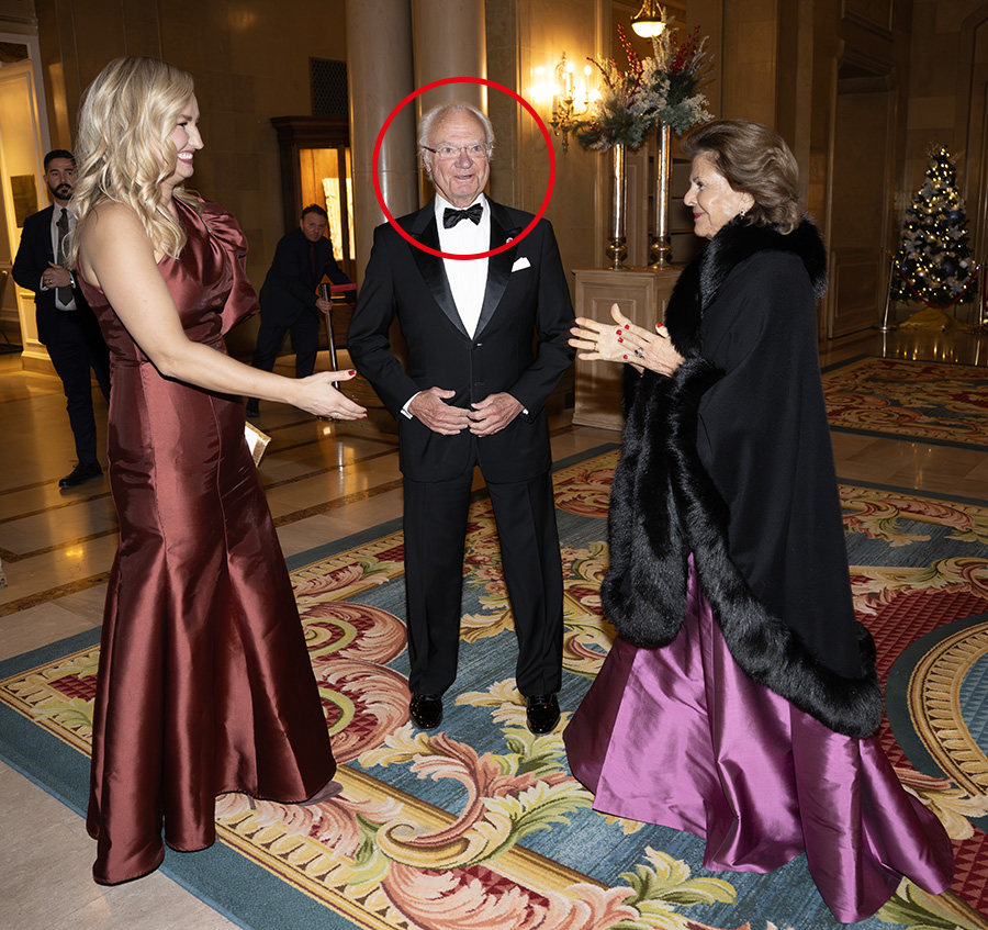 Kungens obetalbara min – under festen med Ebba Busch