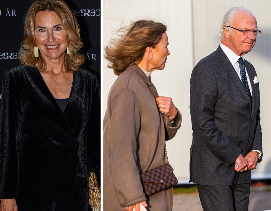 Stormen mot kungen – hovets presskvinna går till motattack