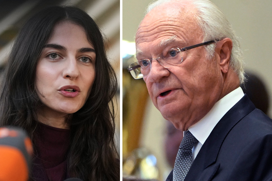 Stormen mot kungen – hovets presskvinna går till motattack