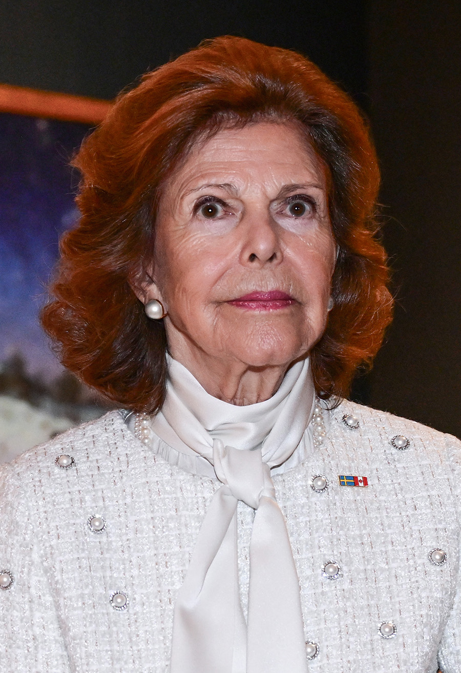 Silvias f&ouml;delsedag f&ouml;rst&ouml;rd &ndash; kungens raseri efter l&auml;ckan