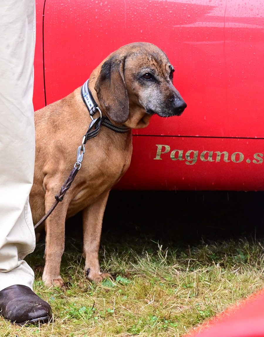 Kungaparet skakade &ndash; djupa sorgen efter d&ouml;dsfallet i familjen