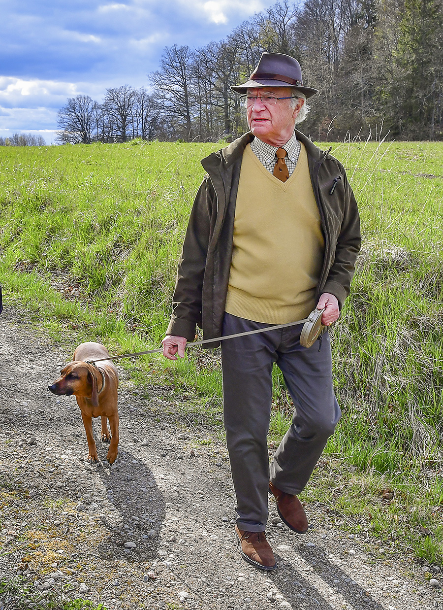 Kungens julmys med nya vovven &ndash; se unika bilderna!