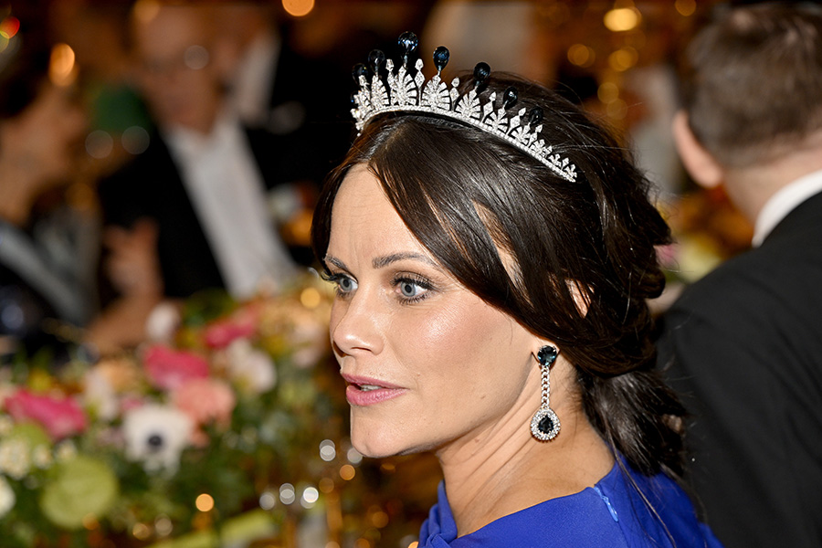 Därför nobbar Sofia Nobel – Epstein-affären blev för mycket