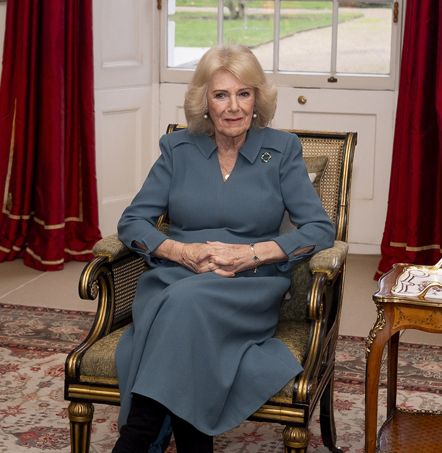 Sexattack mot drottning Camilla &ndash; slog angriparen med klacken
