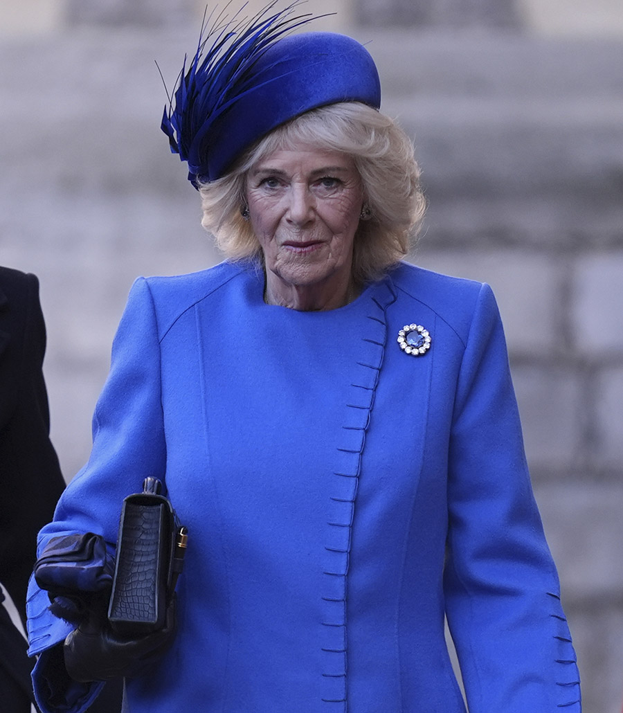Sexattack mot drottning Camilla &ndash; slog angriparen med klacken