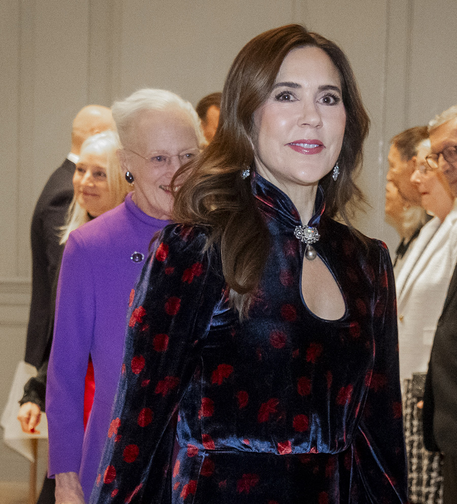 Efter sjukdomen &ndash; f&ouml;rsta bilderna p&aring; drottning Margrethe