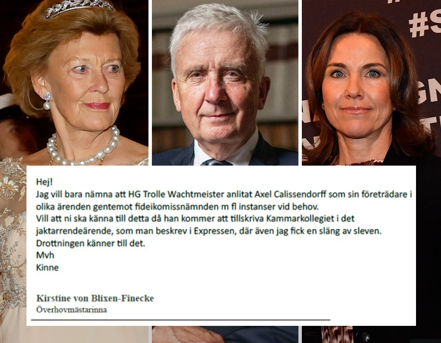 Silvias h&ouml;gra hand i storbr&aring;ket &ndash; hemliga varningen till hovet