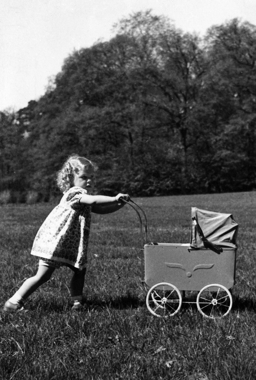 S&aring; minns vi Hagasessan D&eacute;sir&eacute;e &ndash; prinsessans liv i bilder