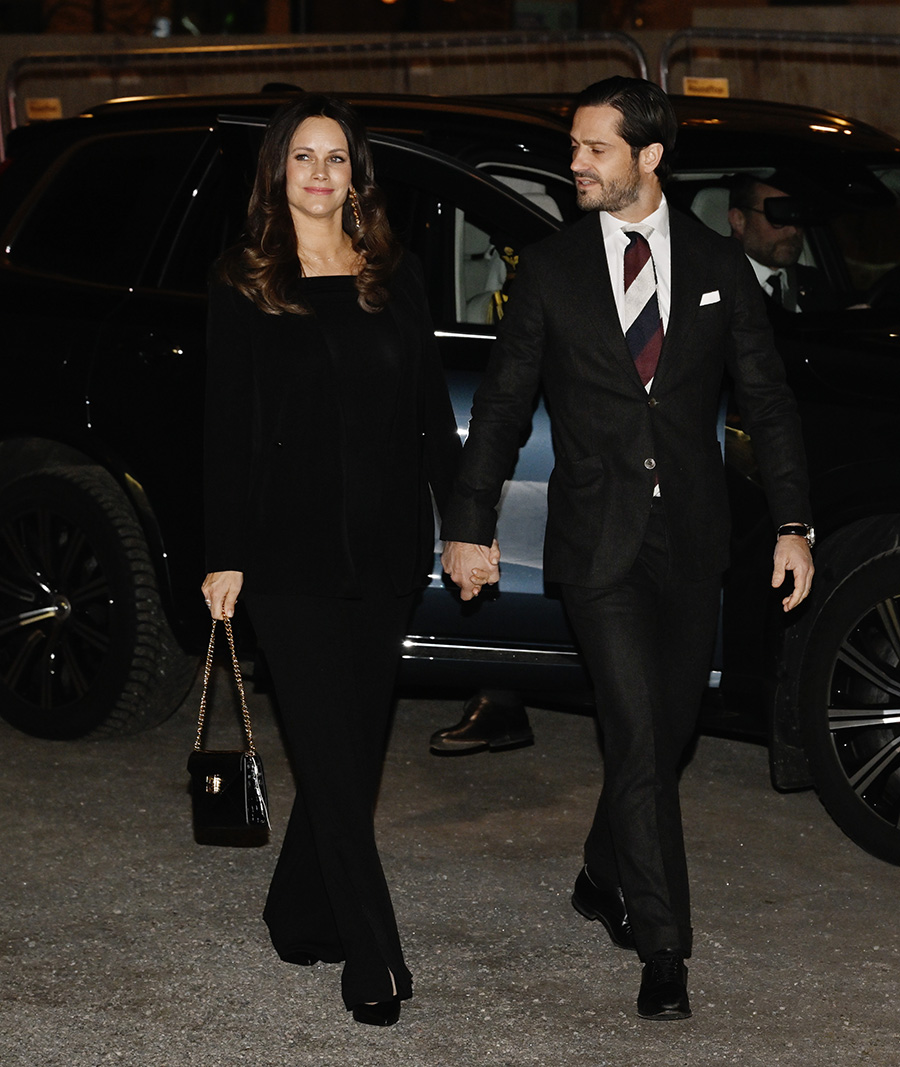 Tystnaden spricker: Sofia tr&auml;der fram efter Epstein-skandalen