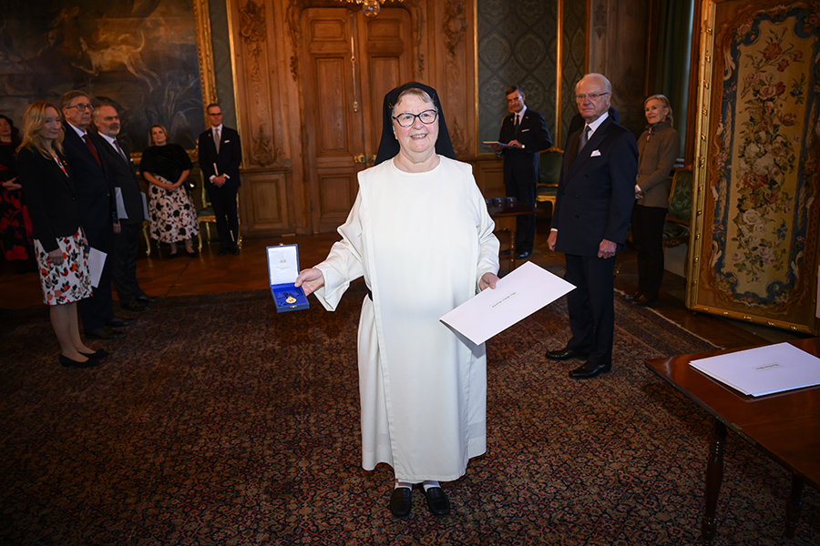 Bild-Extra: H&auml;r hedrar kungen stj&auml;rnorna p&aring; slottet