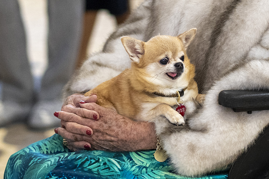 Prinsessan Astrid, 94, f&ouml;rd till sjukhus &ndash; nu agerar hovet
