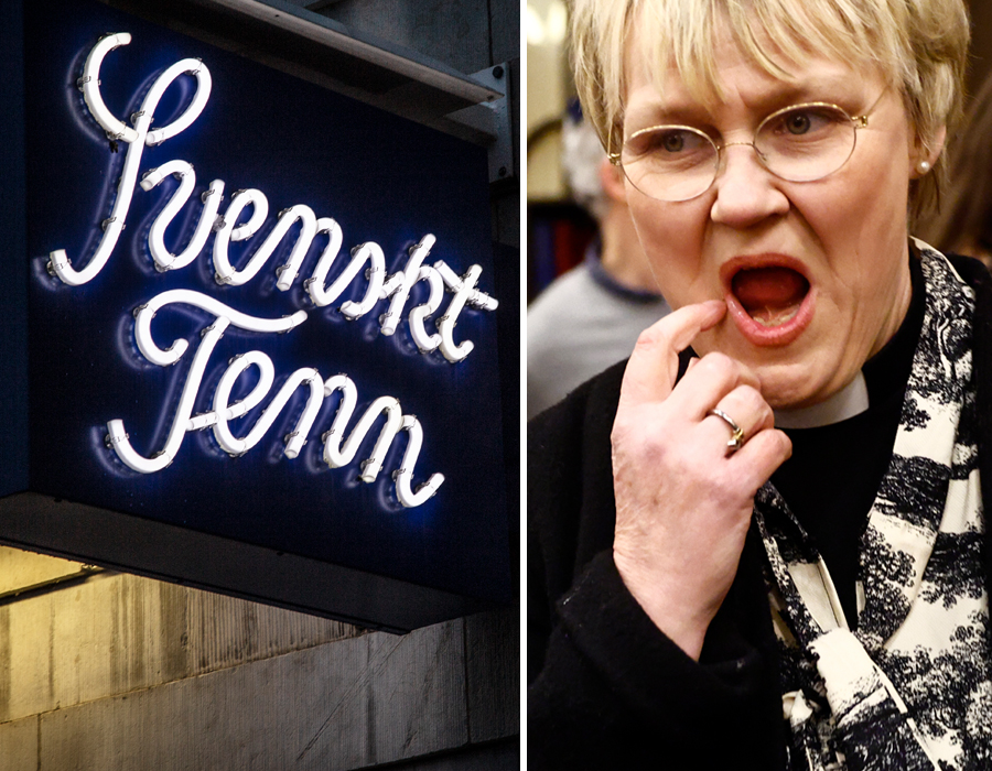 Birgitta Eds lyxiga ink&ouml;p till Sagerska &ndash; f&ouml;r skattepengar