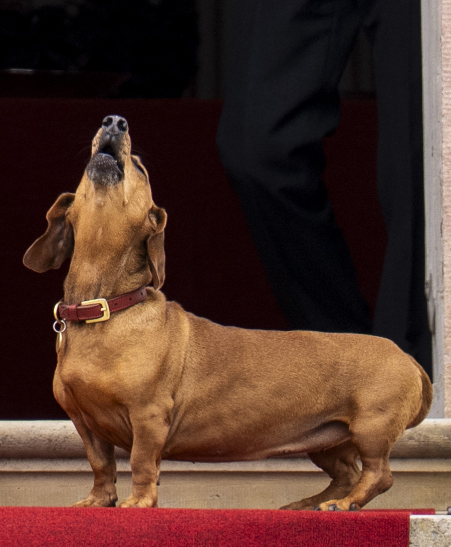 Margrethes stora 86-&aring;rskalas &ndash; &auml;lsklingen stal hela showen
