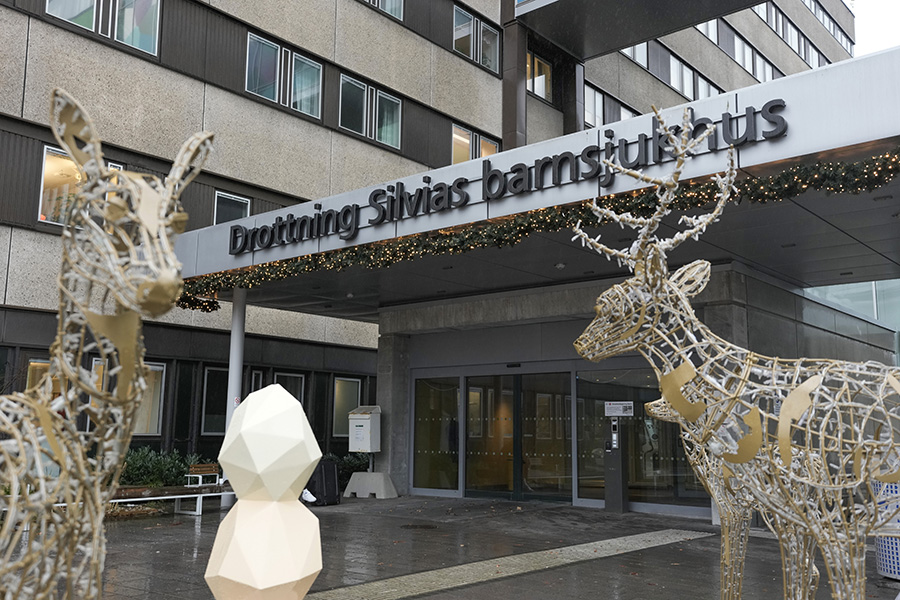 Mardr&ouml;mmen f&ouml;r drottning Silvia &ndash; hj&auml;rteprojektet angrips