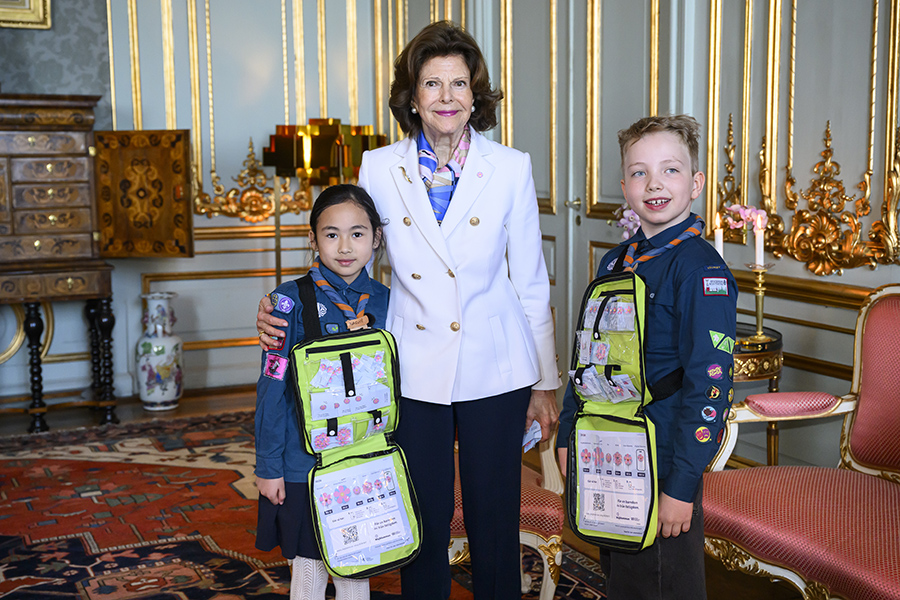 Extra: Silvia tvingades sitta i stol &ndash; orkade inte st&aring; hela m&ouml;tet