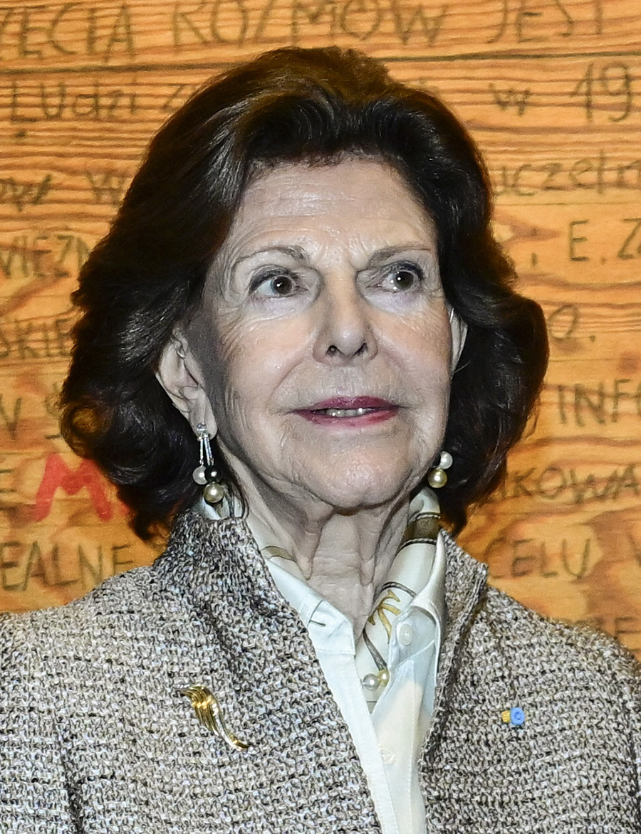 Mardr&ouml;mmen f&ouml;r drottning Silvia &ndash; hj&auml;rteprojektet angrips