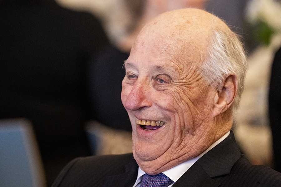 Kung Haralds hemliga grav &ndash; detaljen hovet v&auml;grar visa