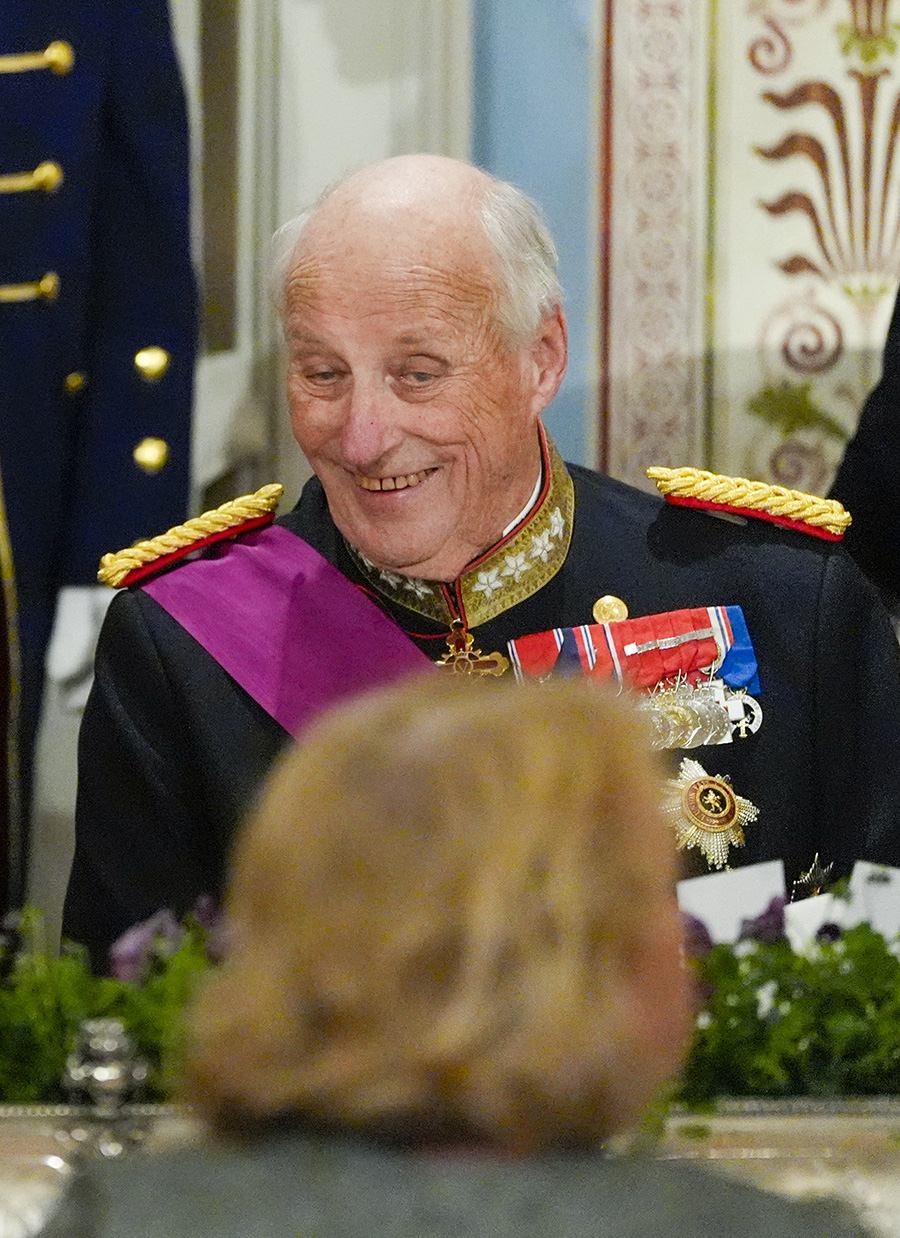 Kung Haralds hemliga grav &ndash; detaljen hovet v&auml;grar visa