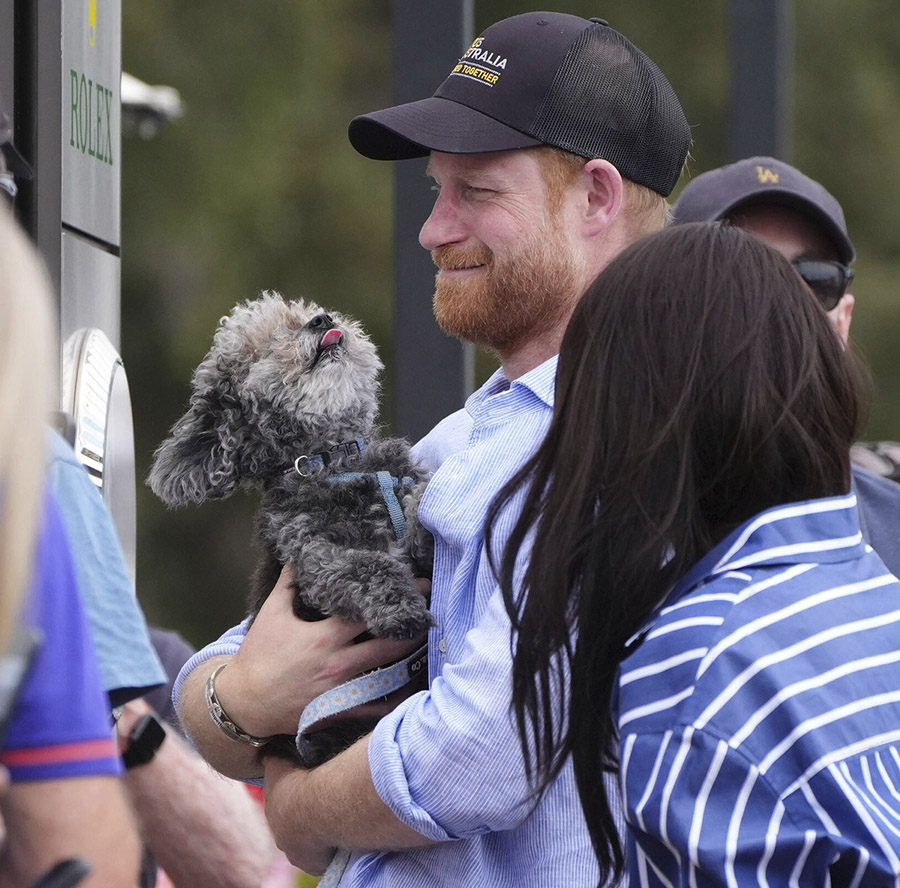 Prins Harrys nya pr-knep mitt i kritiken &ndash; gullar med liten hund