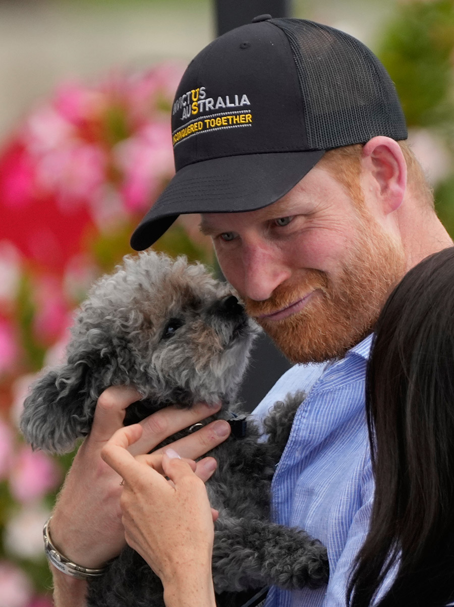 Prins Harrys nya pr-knep mitt i kritiken &ndash; gullar med liten hund