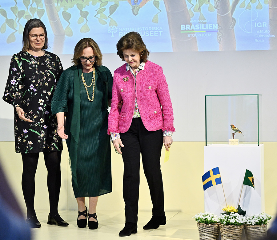 Silvia kvittrade i knallrosa &ndash; mitt bland Brasiliens f&aring;glar