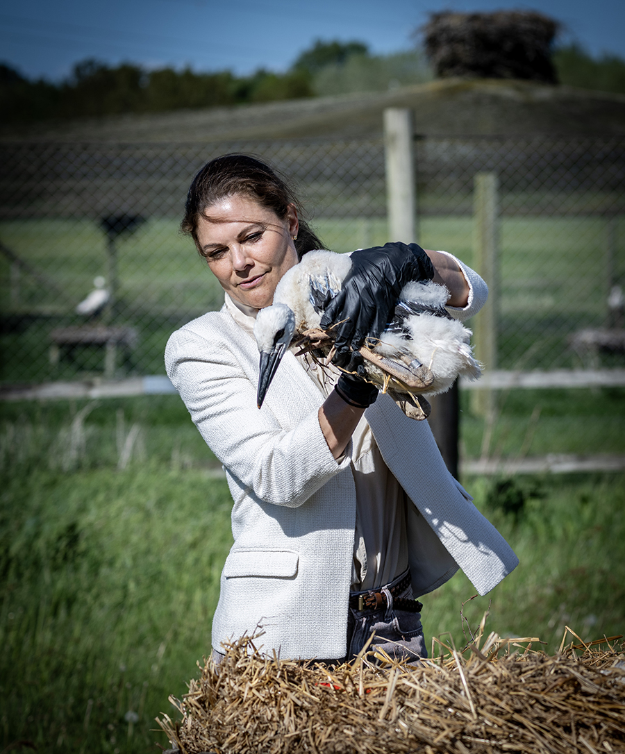Victoria helt utan prins Daniel igen &ndash; fr&aring;gorna om paret v&auml;xer