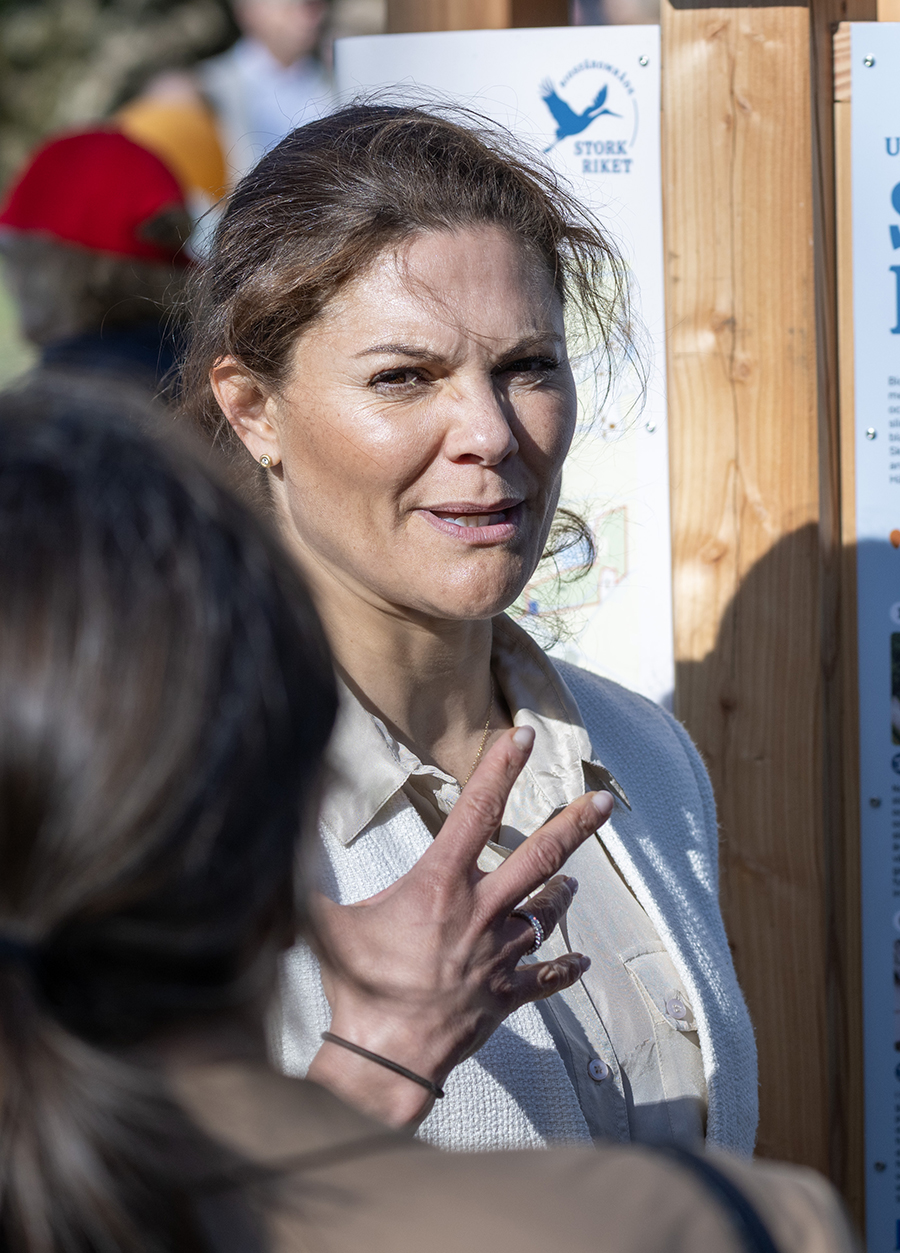 Victoria helt utan prins Daniel igen &ndash; fr&aring;gorna om paret v&auml;xer