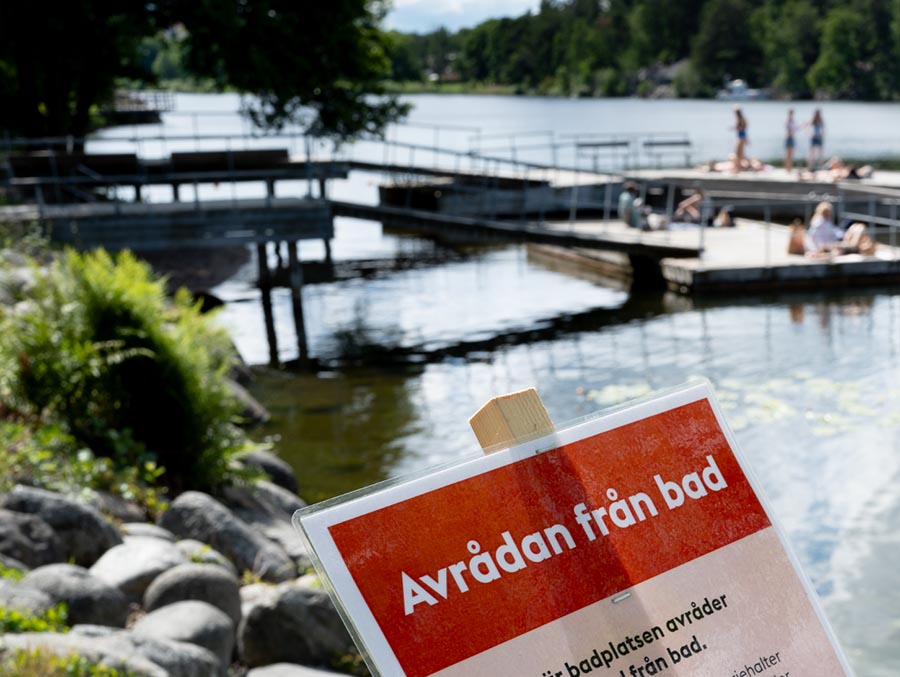 Estelles och Oscars mardr&ouml;m p&aring; Solliden &ndash; sl&aring;r h&aring;rt mot familjen