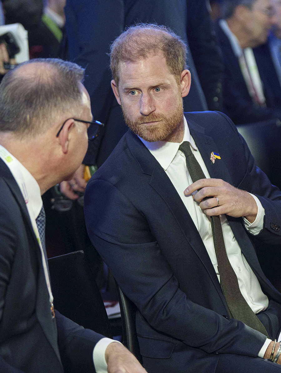 Prins Harry krossad i r&auml;tten &ndash; riskerar nota p&aring; en halv miljard