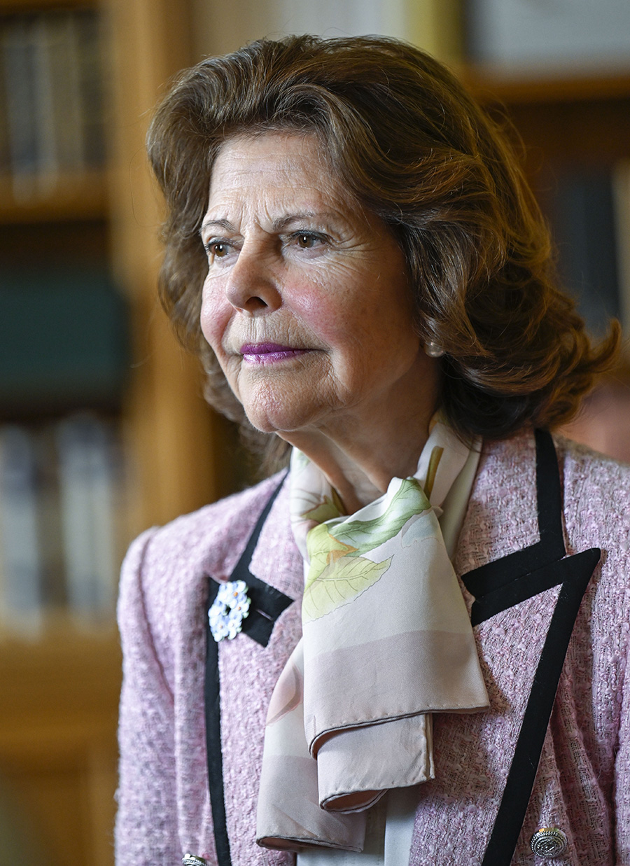 Silvia om barnens sv&aring;ra skador &ndash; m&ouml;tet p&aring; slottet som ber&ouml;rde