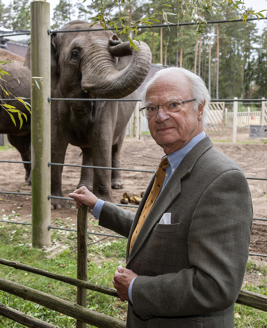 Kungens hemliga utflykt &ndash; d&ouml;k pl&ouml;tsligt upp med elefanterna