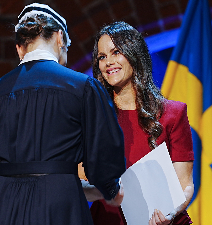 prinsessan sofia om stora oron – känslosamma orden som berör 5 Prinsessan Sofia om stora oron – känslosamma orden som berör